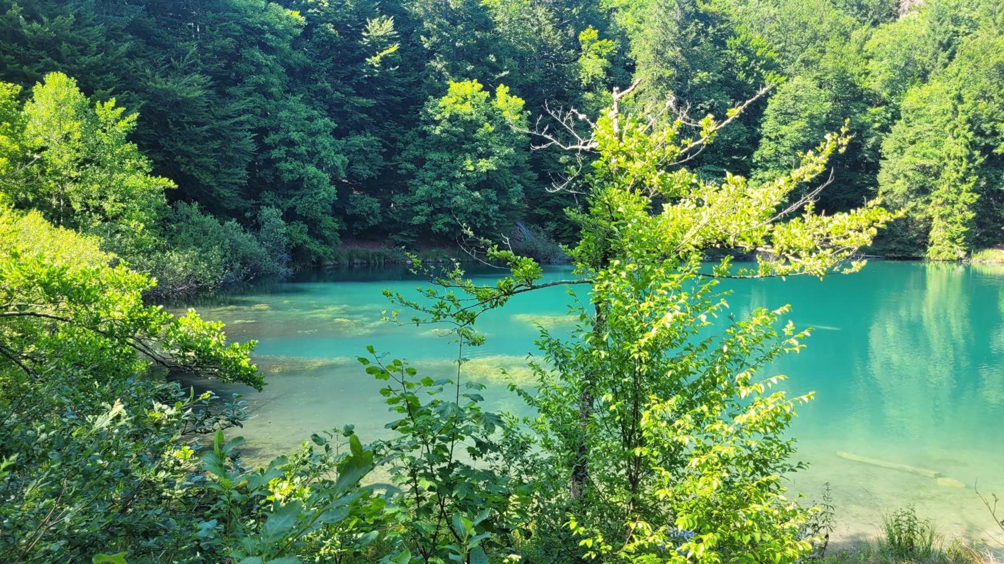 B&B Plitvice Lakes Villa Mija Plitvica selo Dış mekan fotoğraf